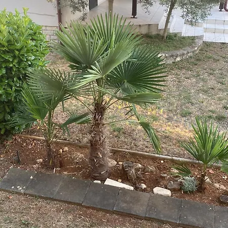 Maremio Apartament *